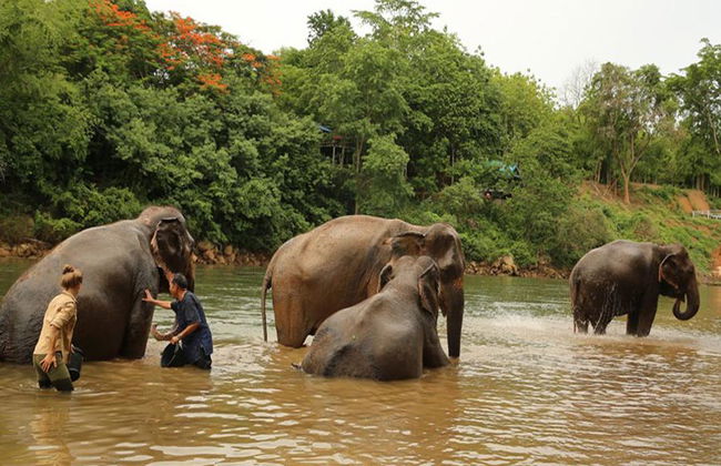 Experiencia con elefantes en Kanchanaburi - Desde Bangkok - Foto 1